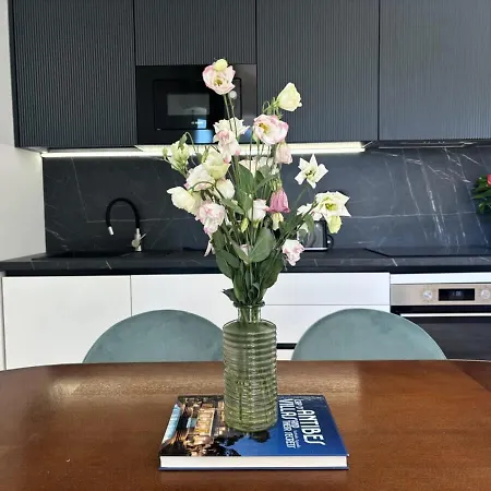 Isabelle New Spacious 3br Ac * Cannes